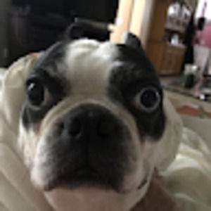 Meet your Posher, Annabella